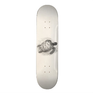 Vintage Sea Turtle Personalised Marine Turtles Skateboard