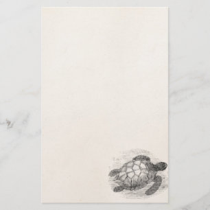 Vintage Sea Turtle Personalised Marine Turtles Stationery