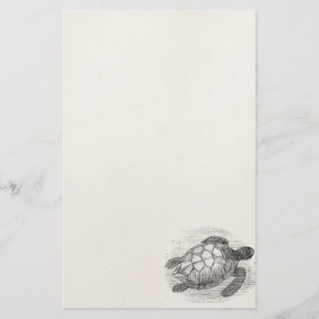 Vintage Sea Turtle Personalised Marine Turtles Stationery (Front)