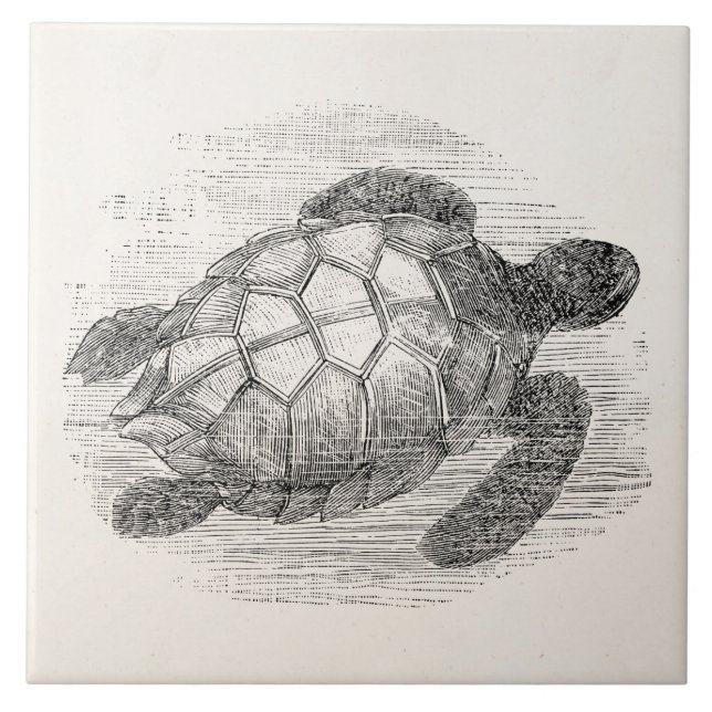 Vintage Sea Turtle Personalised Marine Turtles Tile (Front)