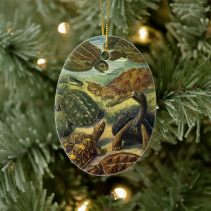 Vintage Sea Turtles and Tortoises by Ernst Haeckel Ceramic Tree Decoration