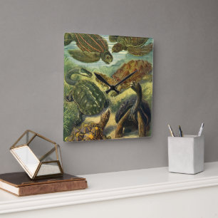 Vintage Sea Turtles and Tortoises by Ernst Haeckel Square Wall Clock
