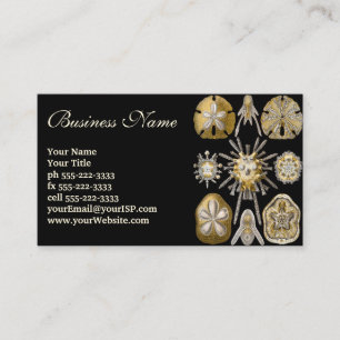 Vintage Sea Urchins Sand Dollars by Ernst Haeckel Business Card