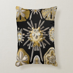 Vintage Sea Urchins Sand Dollars by Ernst Haeckel Decorative Cushion