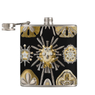 Vintage Sea Urchins Sand Dollars by Ernst Haeckel Hip Flask
