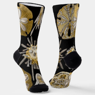 Vintage Sea Urchins Sand Dollars by Ernst Haeckel Socks