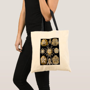 Vintage Sea Urchins Sand Dollars by Ernst Haeckel Tote Bag