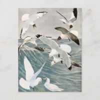 Vintage Seagull Ocean Bird Beach Summer Seaside