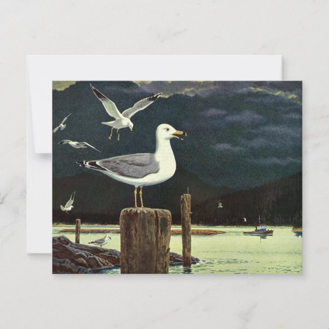 Vintage Seagull Perched Pier, Marine Birds Animals (Front)