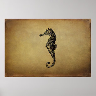 Vintage Seahorse Illustration Poster