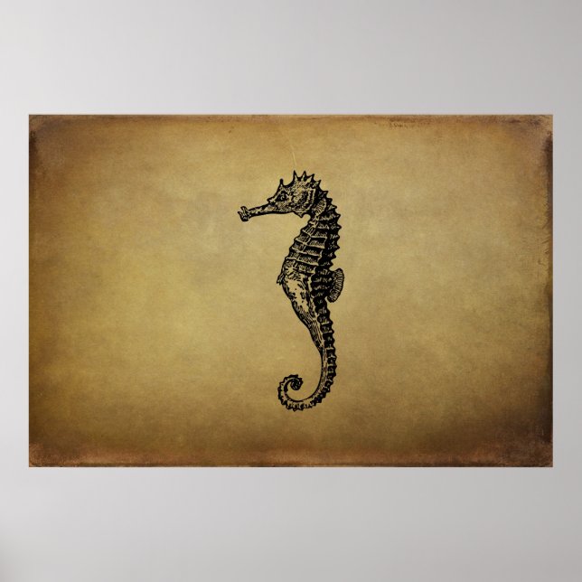 Vintage Seahorse Illustration Poster (Front)