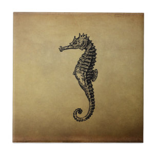 Vintage Seahorse Illustration Tile