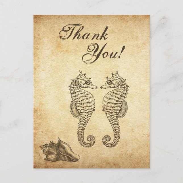 Vintage Seahorses and Conch Shell Beach Thank You Postcard (Front)
