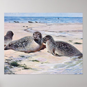 Vintage Seals on the Beach Art Poster