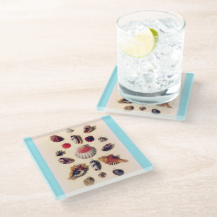 Vintage Seashell Collection Light Blue Glass Coaster
