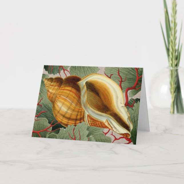 Vintage Seashell Folded Note Card (Front)