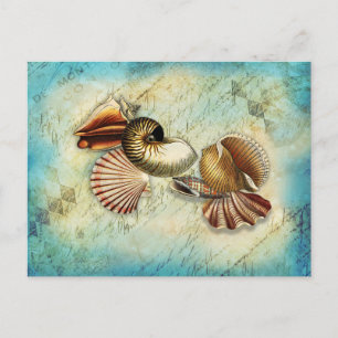 Vintage Seashell Ocean Blue  Postcard