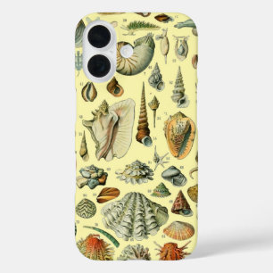 Vintage Seashell Print Adolphe Millot Coastal iPhone 16 Case