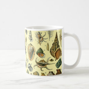 Vintage Seashell Print Adolphe Millot Coastal Coffee Mug