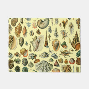 Vintage Seashell Print Adolphe Millot Coastal Doormat