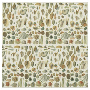 Vintage Seashell Print Adolphe Millot Coastal Fabric