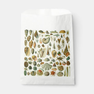 Vintage Seashell Print Adolphe Millot Coastal Favour Bags