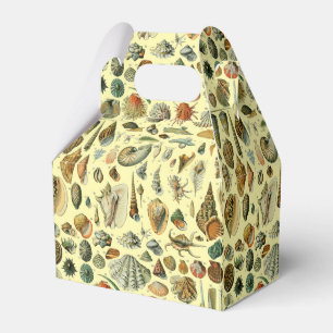 Vintage Seashell Print Adolphe Millot Coastal Favour Box