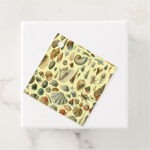 Vintage Seashell Print Adolphe Millot Coastal Favour Tags