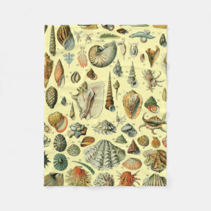 Vintage Seashell Print Adolphe Millot Coastal Fleece Blanket
