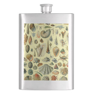 Vintage Seashell Print Adolphe Millot Coastal Hip Flask