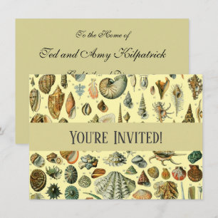 Vintage Seashell Print Adolphe Millot Coastal Invitation