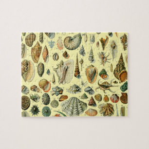 Vintage Seashell Print Adolphe Millot Coastal Jigsaw Puzzle