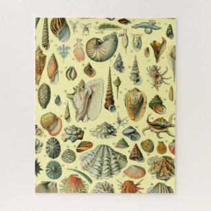 Vintage Seashell Print Adolphe Millot Coastal Jigsaw Puzzle