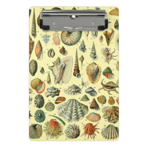 Vintage Seashell Print Adolphe Millot Coastal Mini Clipboard