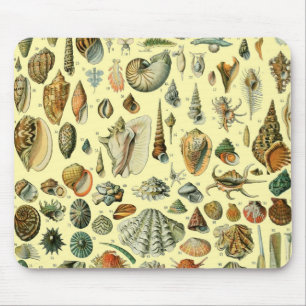Vintage Seashell Print Adolphe Millot Coastal Mouse Mat