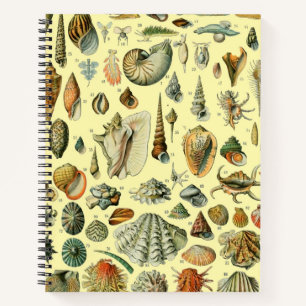 Vintage Seashell Print Adolphe Millot Coastal Notebook
