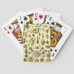 Vintage Seashell Print Adolphe Millot Coastal Playing Cards