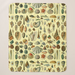 Vintage Seashell Print Adolphe Millot Coastal Sherpa Blanket