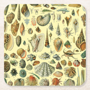 Vintage Seashell Print Adolphe Millot Coastal Square Paper Coaster