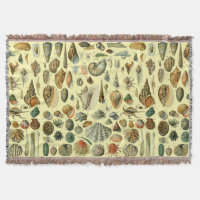 Vintage Seashell Print Adolphe Millot Coastal