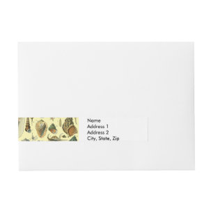Vintage Seashell Print Adolphe Millot Coastal Wraparound Address Label