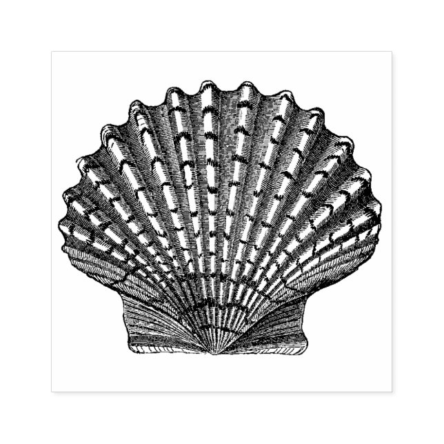 Vintage Seashell Rubber Stamp (Imprint)