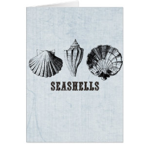 Vintage Seashells