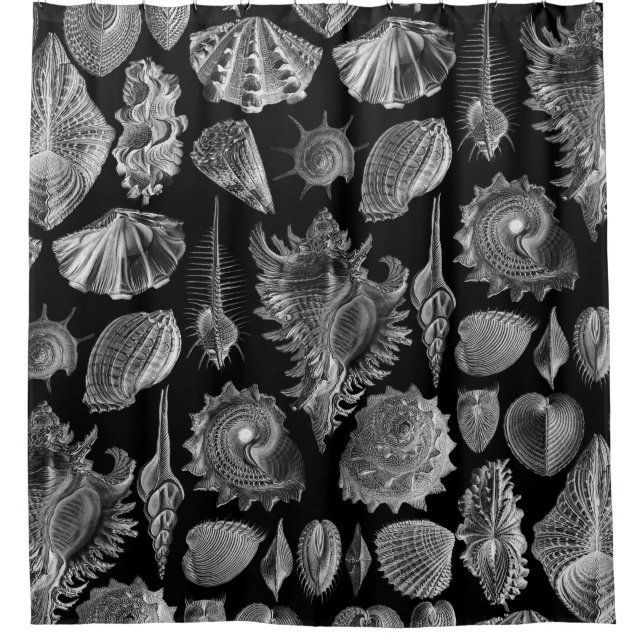 Vintage Seashells Black Shower Curtain (Front)