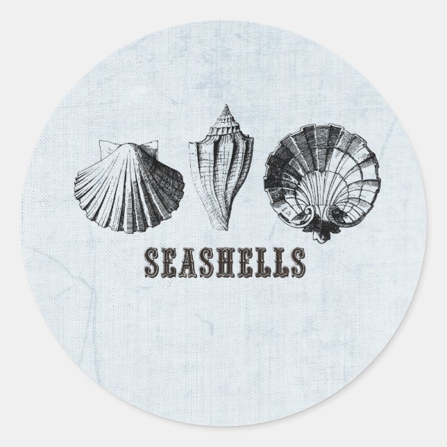Vintage Seashells Classic Round Sticker (Front)