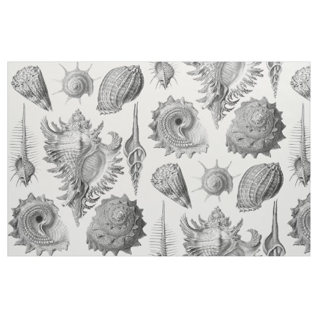 Vintage Seashells Fabric (Fat Quarter)