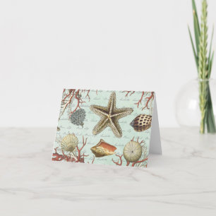 Vintage Seashells...note card