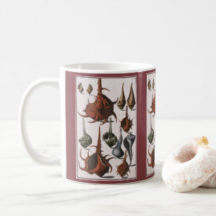 Vintage Seashells, Ocean Sea Shells Marine Life Coffee Mug