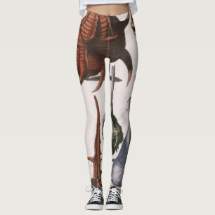 Vintage Seashells, Ocean Sea Shells Marine Life Leggings