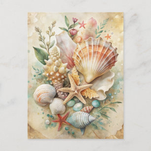 Vintage Seashells Starfish Ocean Beach Coastal  Postcard